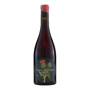 Azul y Garanza - Naturaleza Salvaje Clarete BIO - 0.75L - 2022