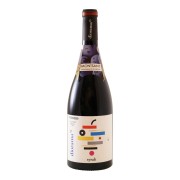 Bodegas Pinord - Diorama Syrah BIO