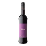 Colonjes - Recortis - 0.75L - 2023