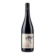 Cueillette des Oiseaux - Cabernet Franc