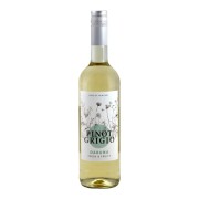 Daruna - Pinot Grigio
