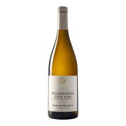 Domaine Michelot - Bourgogne Côte d’Or Chardonnay - 0.75L - 2021