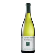 Domaine William Fèvre - Chablis Premier Cru Montmains - 0.75L - 2021