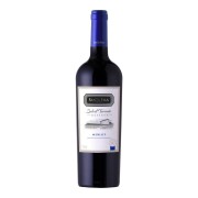 Santa Ema - Merlot Reserva - 0.75L - 2022