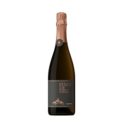 Schlossgut Diel - Pinot de Diel Brut - 0.75L