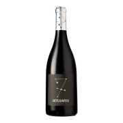 Sietejuntos - Merlot - 0.75L - 2012
