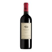 Tenuta di Biserno - Insoglio del Cinghiale - 3L - 2024