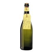 Pietro Toso - Fiocco di Vite Bianco Frizzante - 0.75L